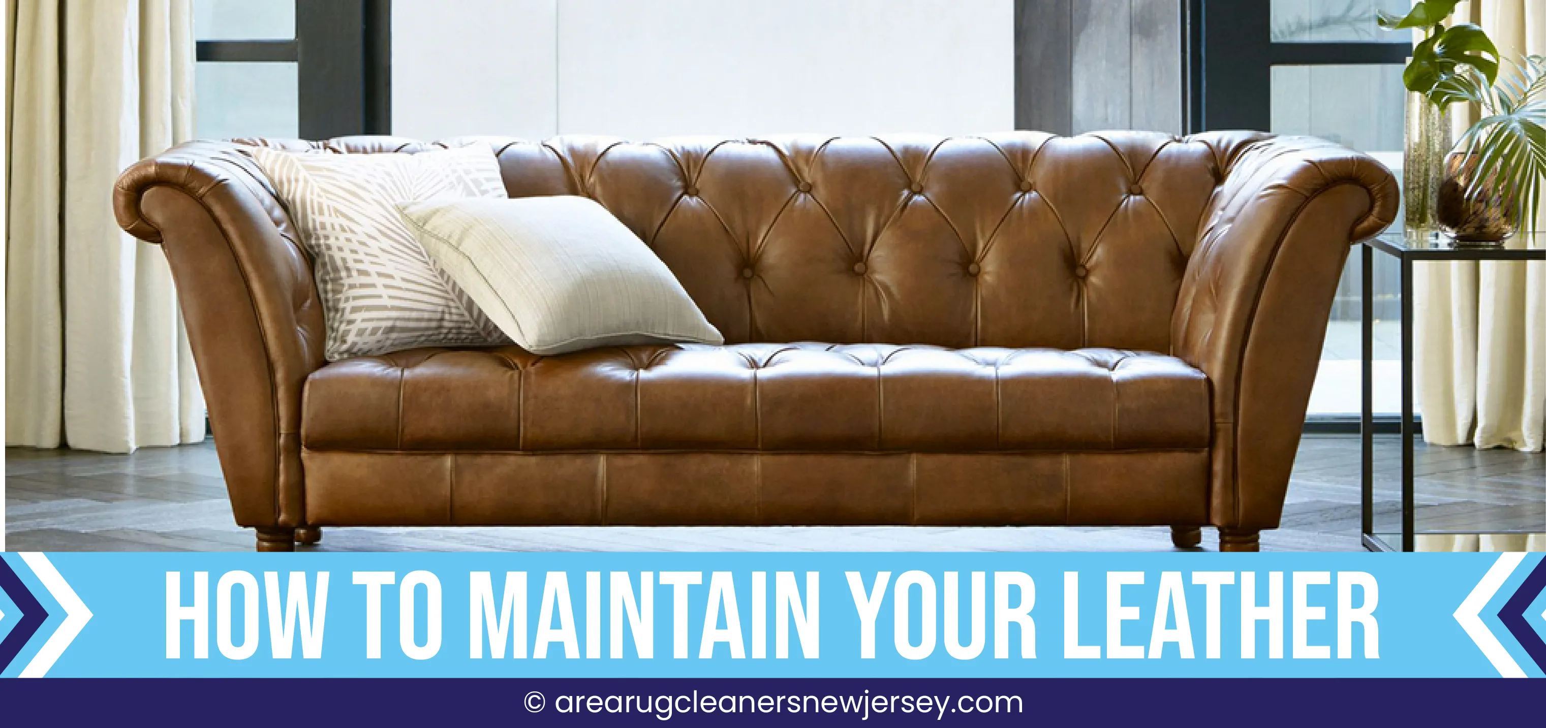 carpet cleaning in new jersey, carpet cleaning in new jersey, carpet cleaning new jersey, carpet cleaners in new jersey, carpet cleaners in new jersey, commercial carpet cleaning, commercial carpet cleaning in new jersey, new jersey rug cleaners, rug cleaning services in new jersey, same day carpet cleaning, same day rug cleaning